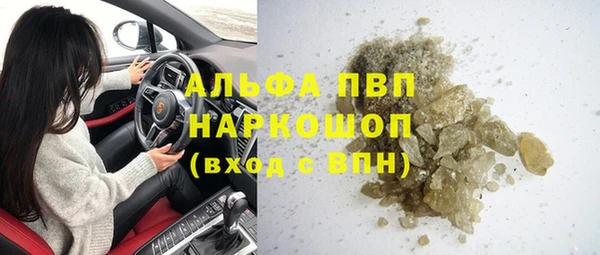 гидра Покачи